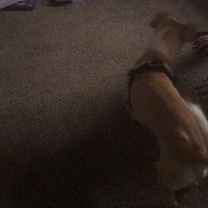 Meet your Posher, Lidia